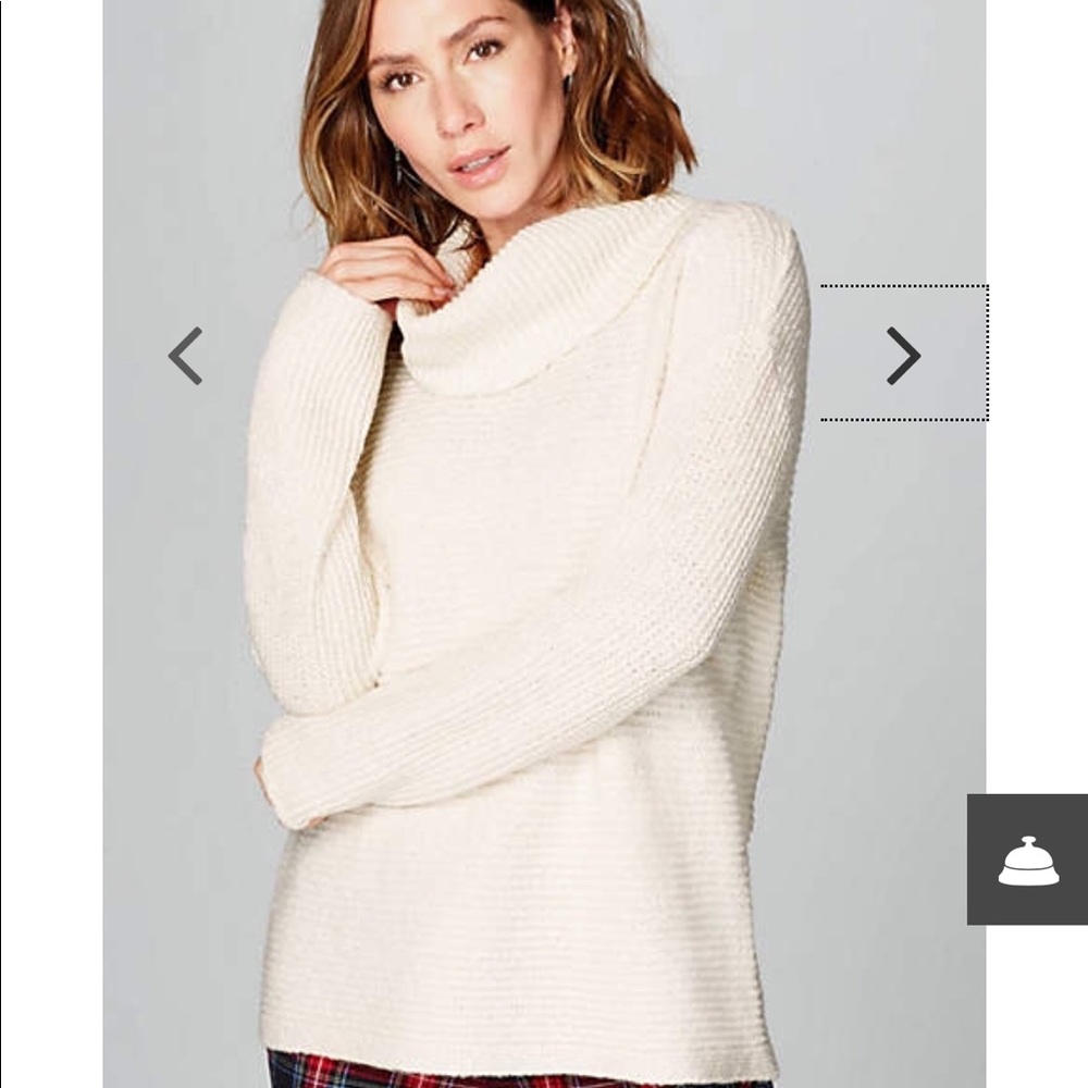 NWT J.Jill sweater Cowel neck line. Size L.